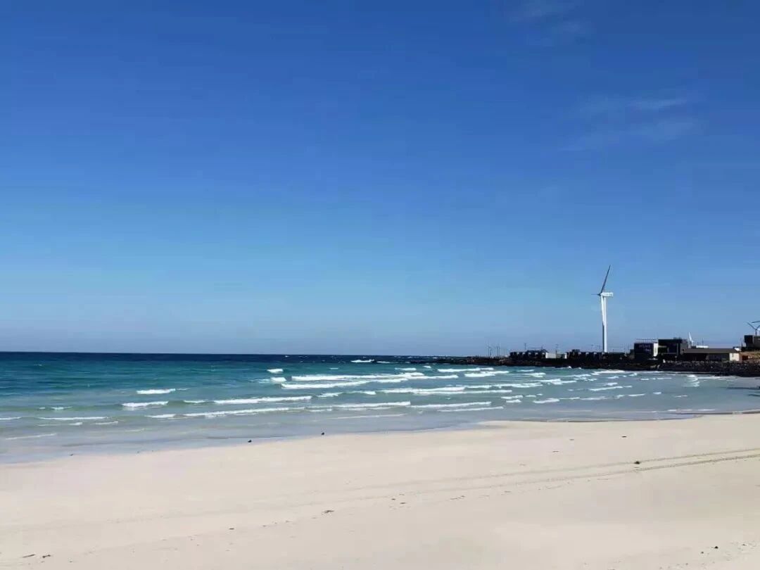 十年相伴，濟州同行 |2025年 通錦精密老員工七夕韓國之旅圓滿收官！