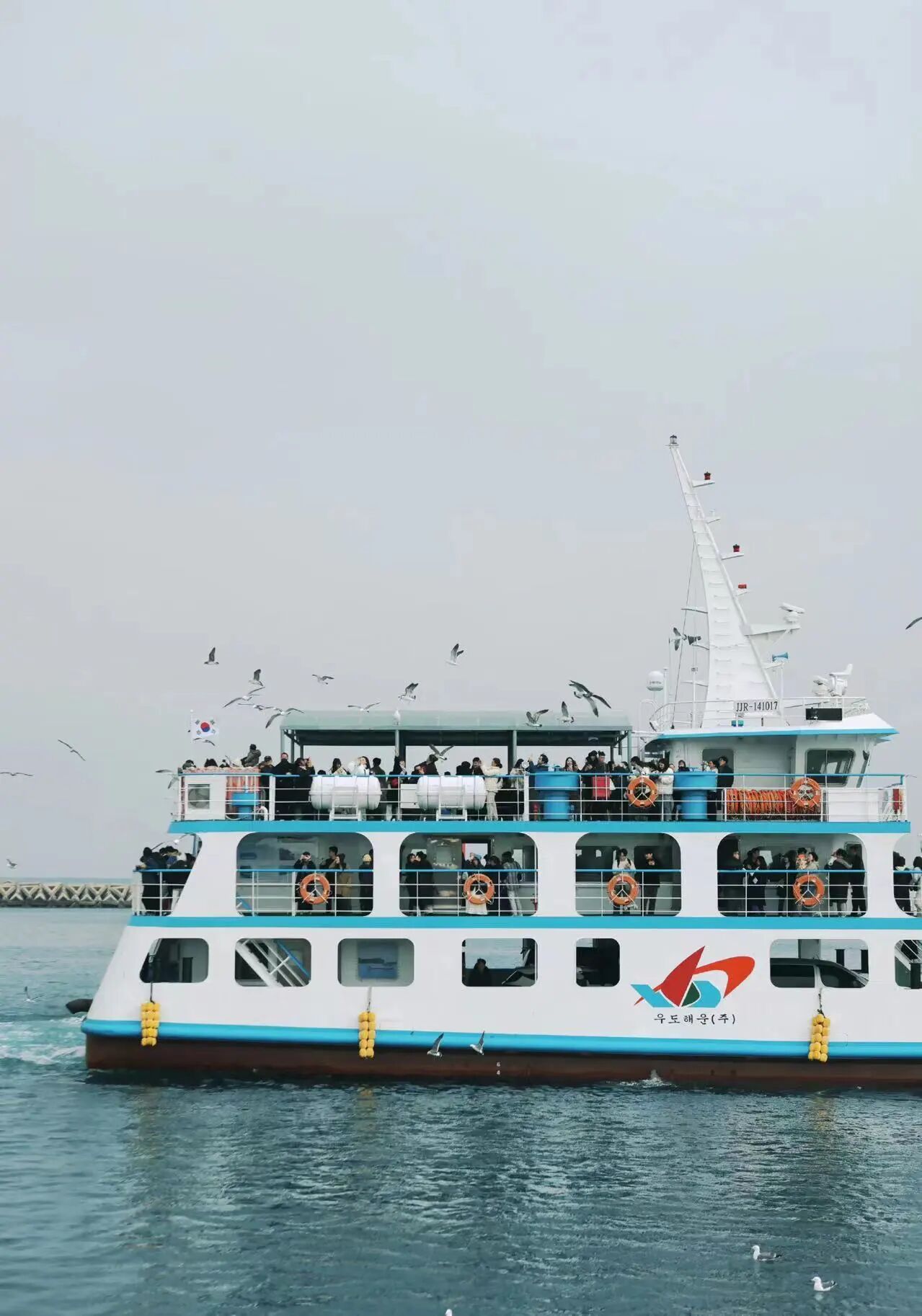 十年相伴，濟州同行 |2025年 通錦精密老員工七夕韓國之旅圓滿收官！