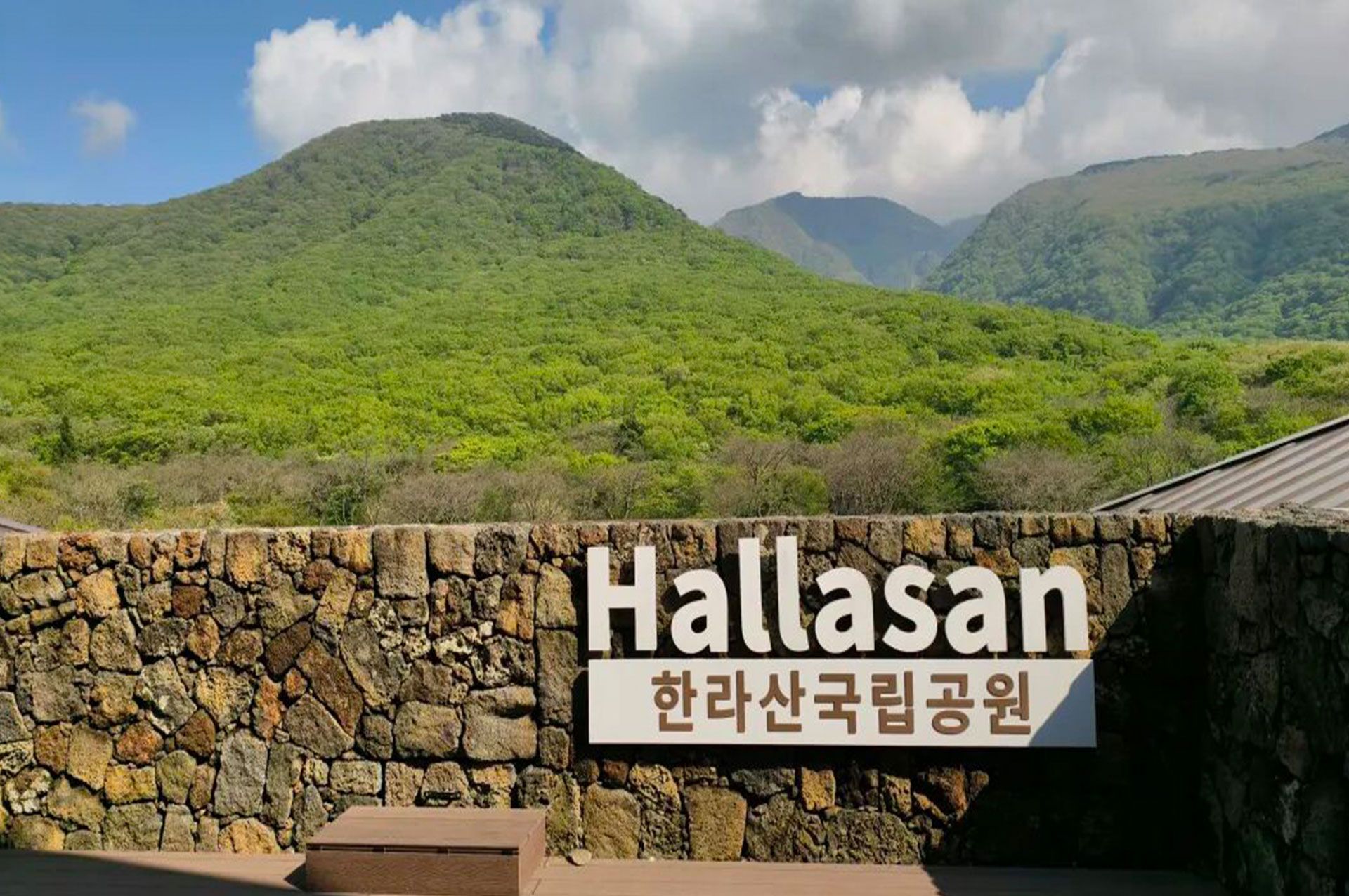 十年相伴，濟州同行 |2025年 通錦精密老員工七夕韓國之旅圓滿收官！